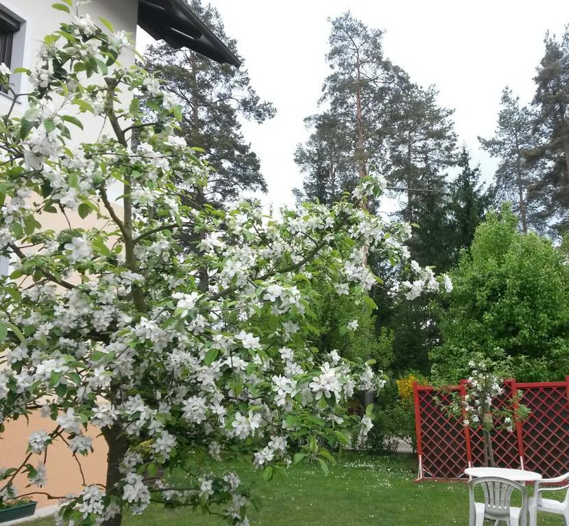 Ferienwohnung Kerth 상트칸지안 외부 사진